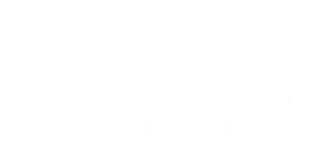 Logo-IDMJI-Frances