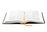 bible-version-pic
